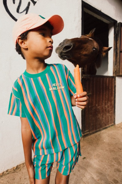 Jelly Mallow JM striped T-shirt - Green