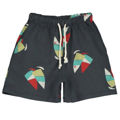 Lötiekids Korte Broek Windsurf All Over - Antraciet