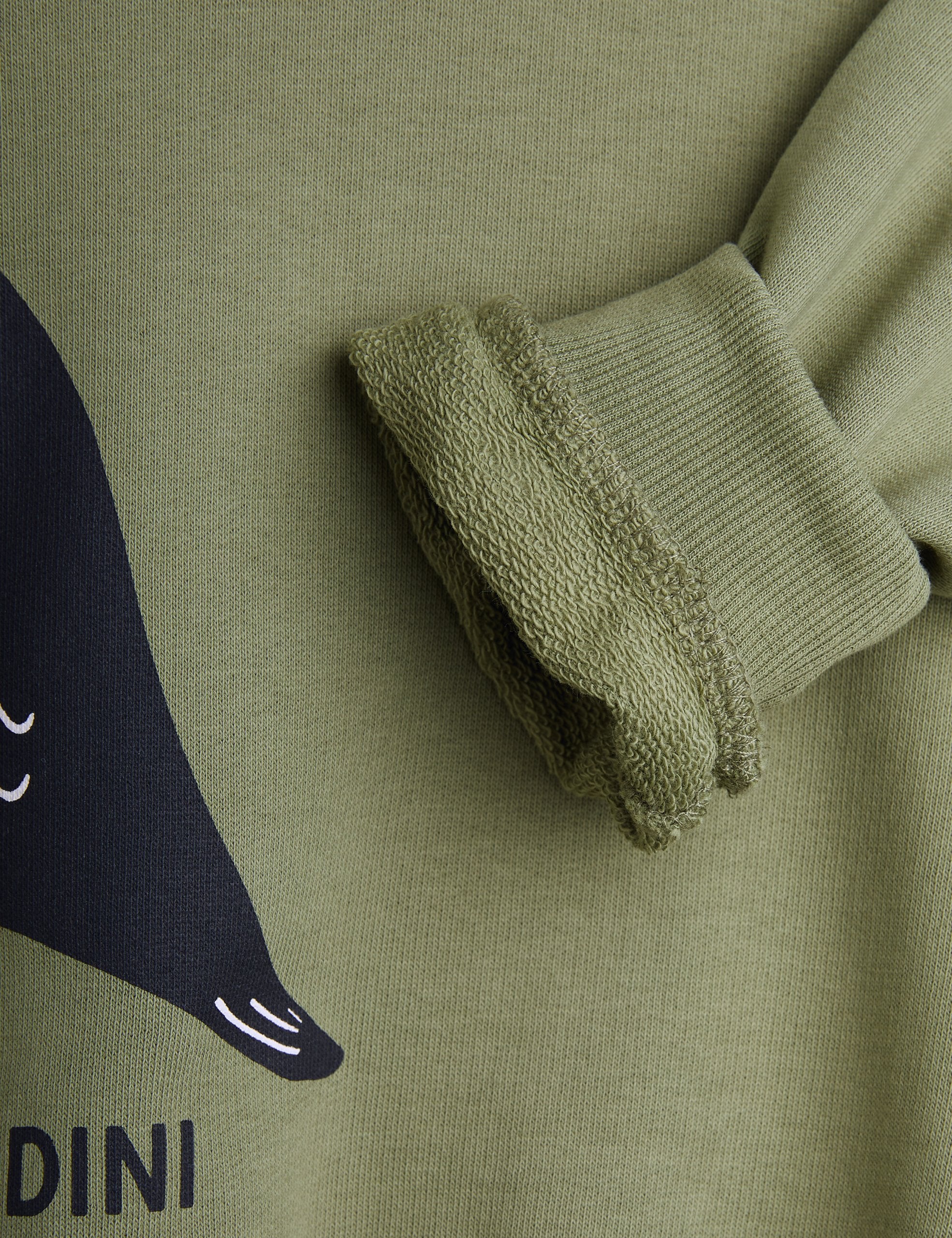 MINI RODINI Blackbird Trui - Green