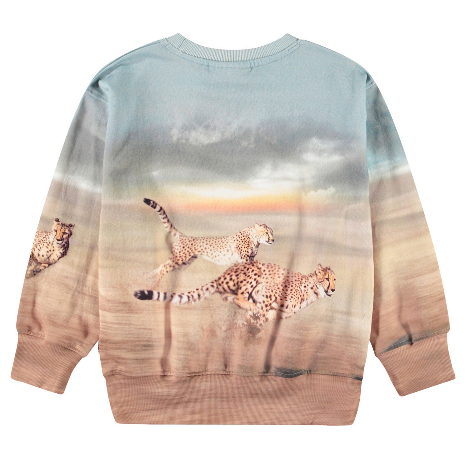 Molo Sweatshirt Mattis - Running Cheetahs