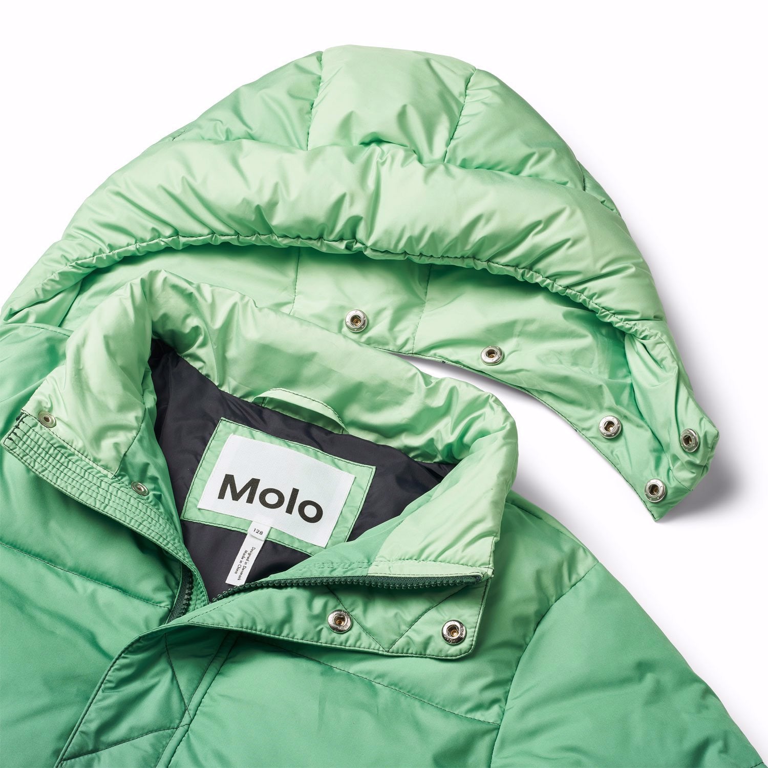 Molo Hayden Winterjas - Green shades