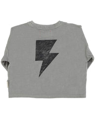 Piupiuchick Terry cotton longsleeve t-shirt - Grey "rock & roll" print